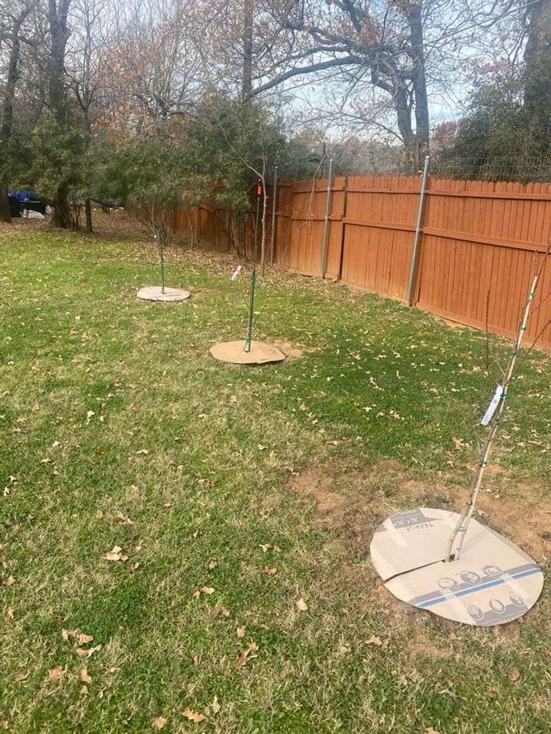 Weed And Grass Control Reduces Water Competition