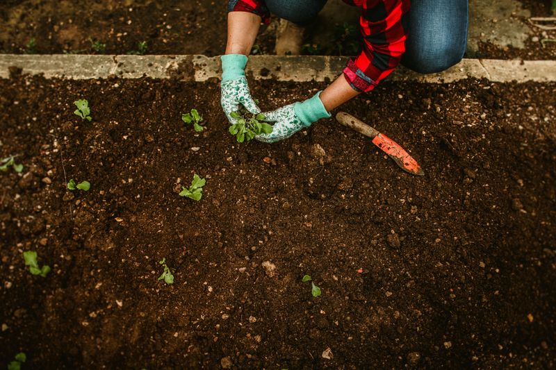 Western Oregon Vs Eastern Oregon Gardening Differences Every Grower Should Know