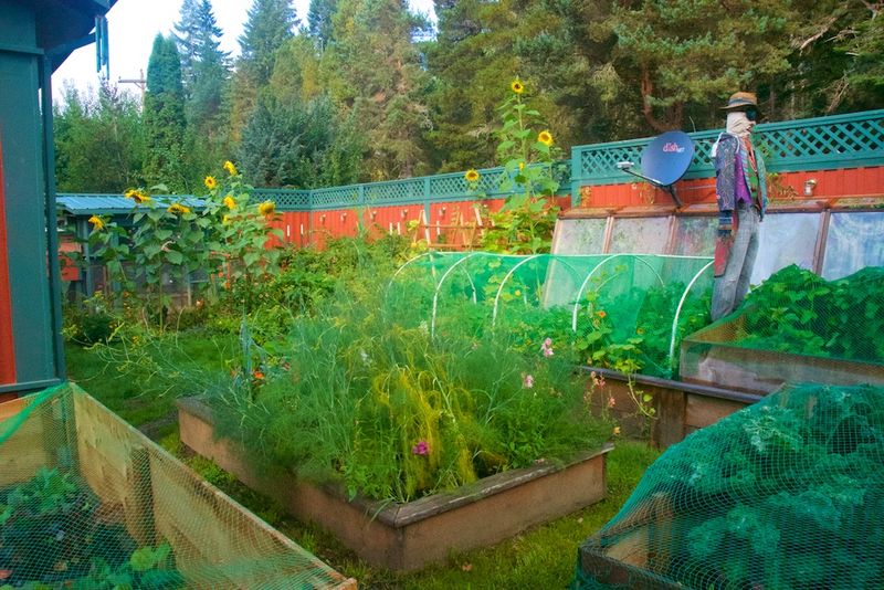 Western Oregon Vs Eastern Oregon Gardening Differences Every Grower Should Know