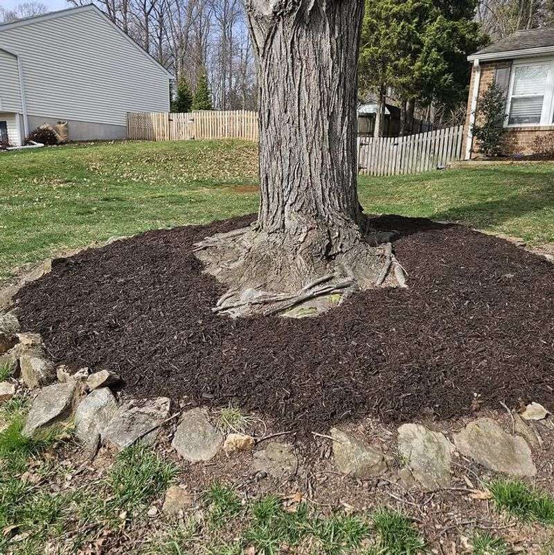 Wet Bark Mulch Sometimes Clumps Near Plant Bases