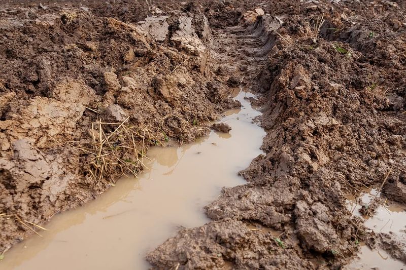 Wet Clay Soil Should Never Be Worked Too Aggressively