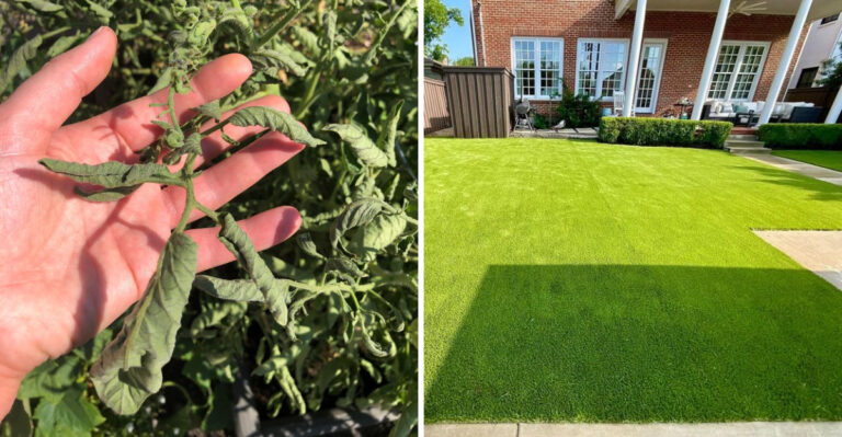 What Arizona Gardeners Should Know Before Using Artificial Turf Around Plants