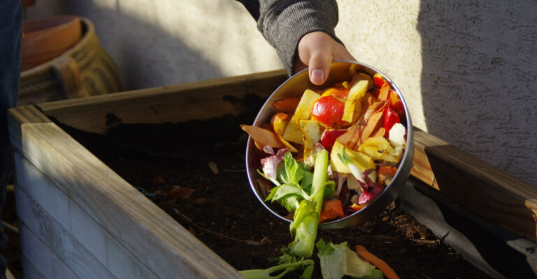 What Belongs In A Michigan Compost Pile And What Does Not