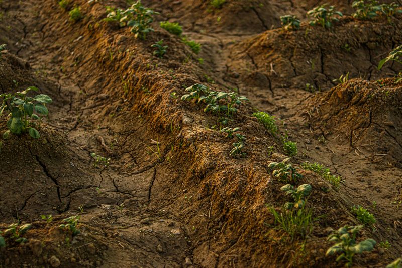 What It Leaves Behind In Your Soil