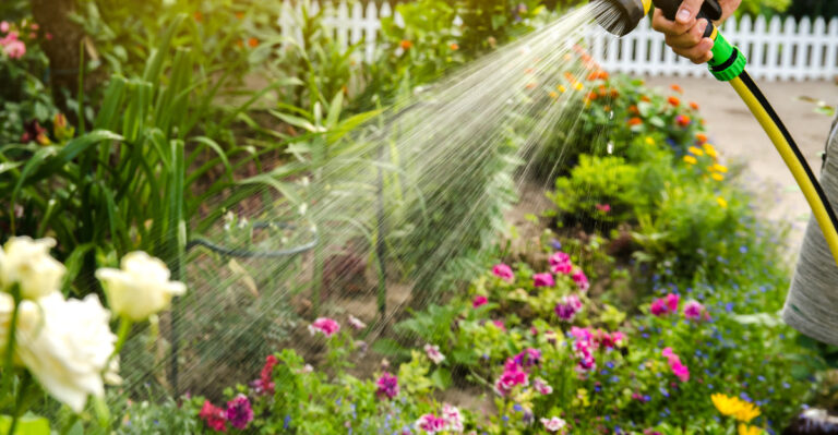 watering garden