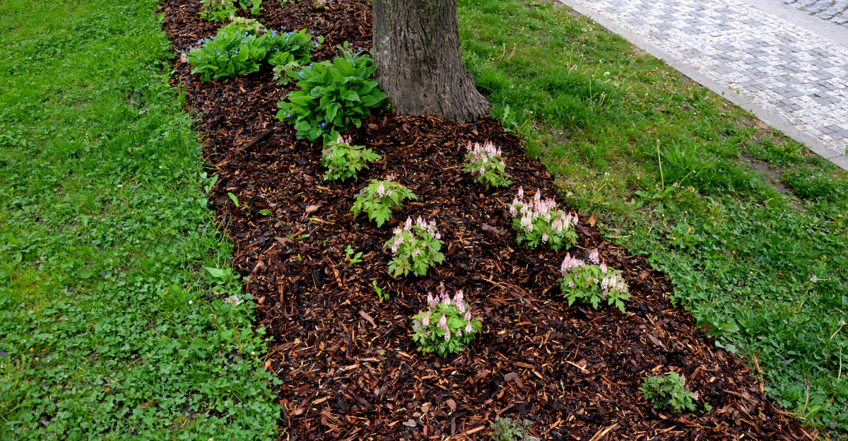 flower bed mulching