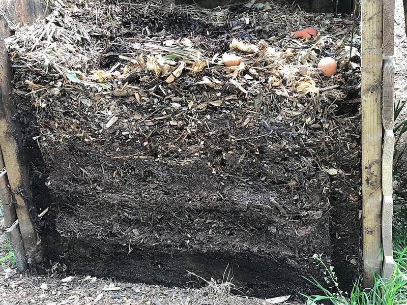 What Your Soil Looks Like Come Fall