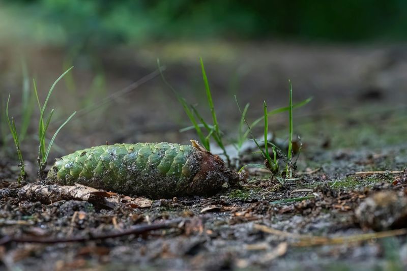 What's Actually Happening Under Your Soil What's Actually Happening Under Your Soil