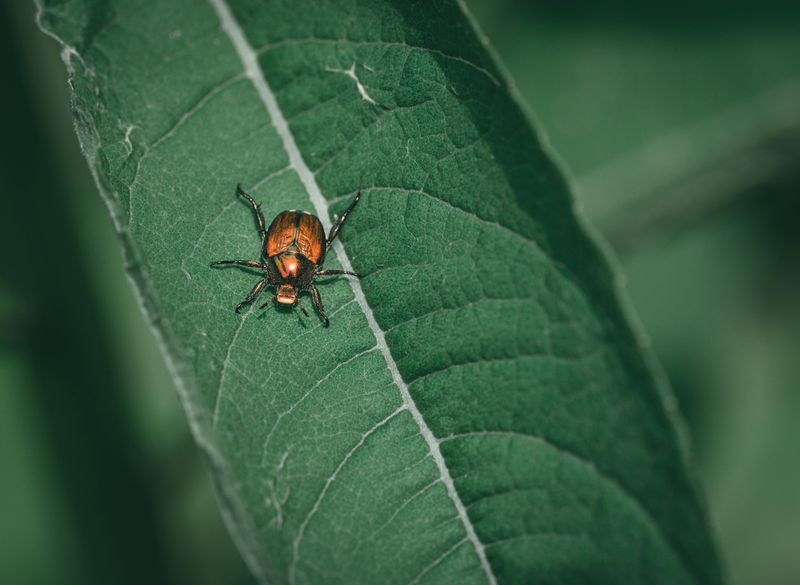 When And Where To Check Your Garden