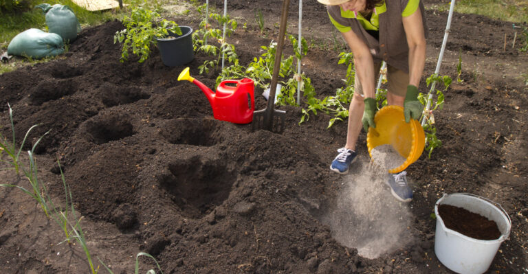 adding wood ash to vegetable garden soil