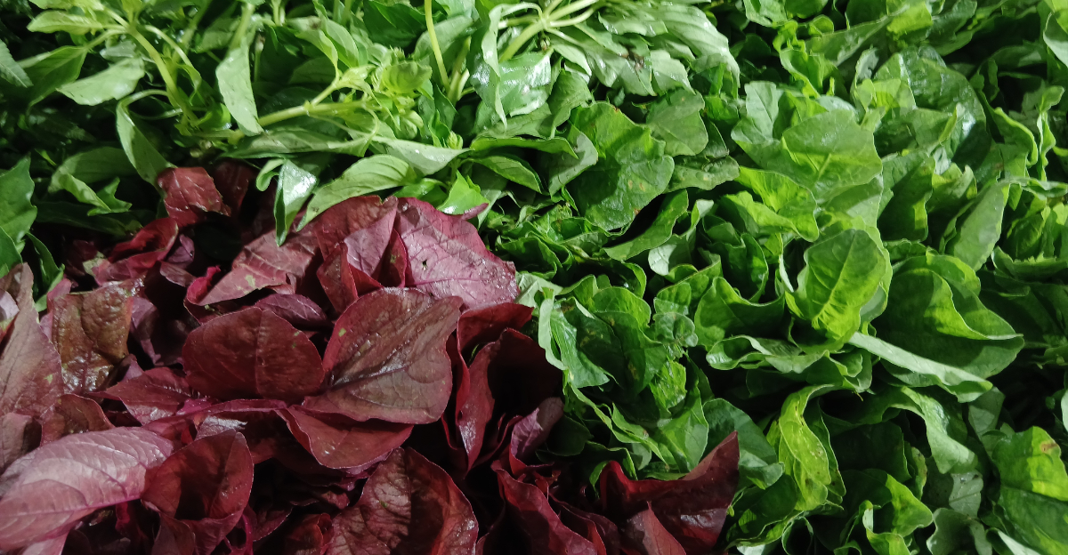 vegetables (featured image)