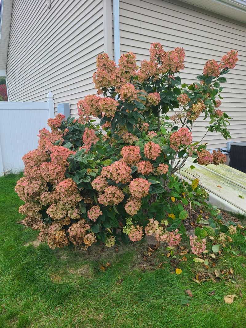 When To Prune Instead