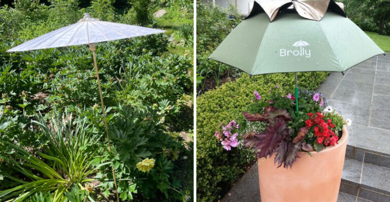 Why Arizona Gardeners Are Using Shade Umbrellas Instead Of Shade Cloth