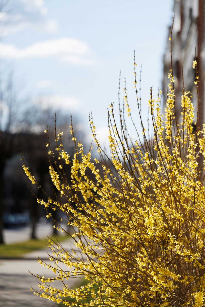 Why Colorado's Climate Makes It Even Worse