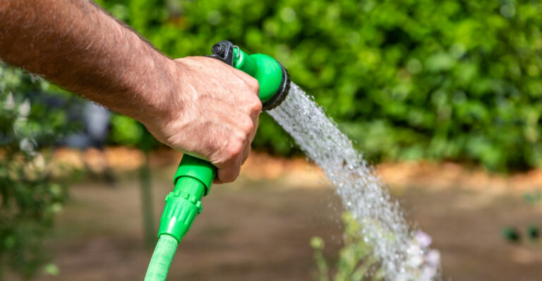 Why Daily Watering Becomes Necessary In May In Texas Gardens