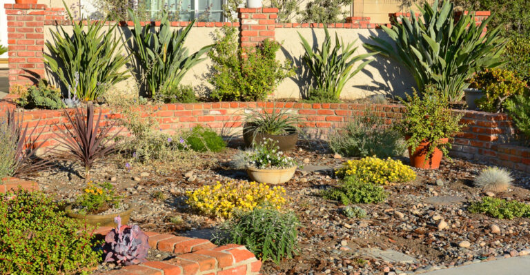 Why More California Gardeners Are Creating No-Mow Front Yards
