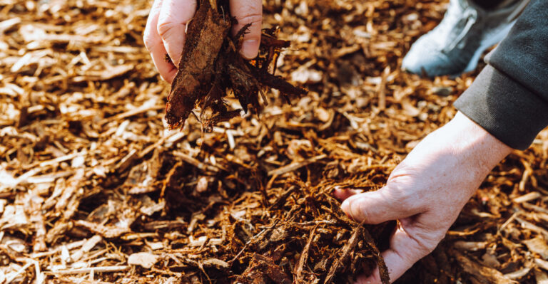 mulch (featured image)