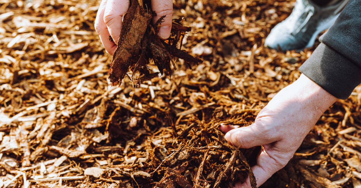 mulch (featured image)