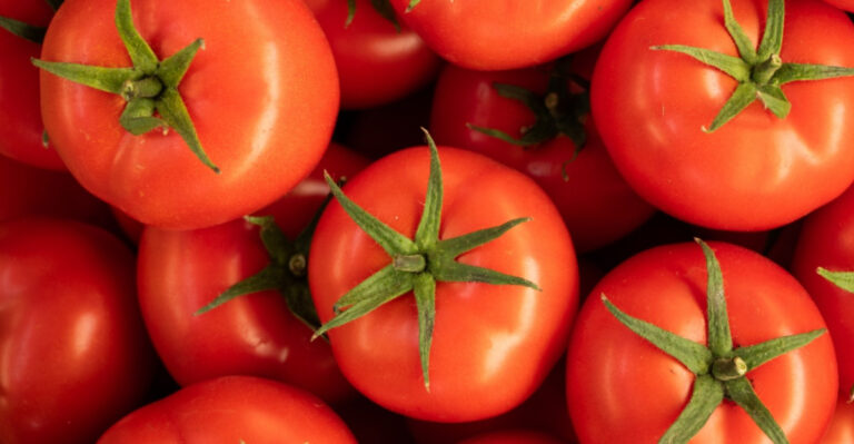 Why Your Missouri Tomatoes Are Already Having A Crisis (Before You Even Grab A Basket)?
