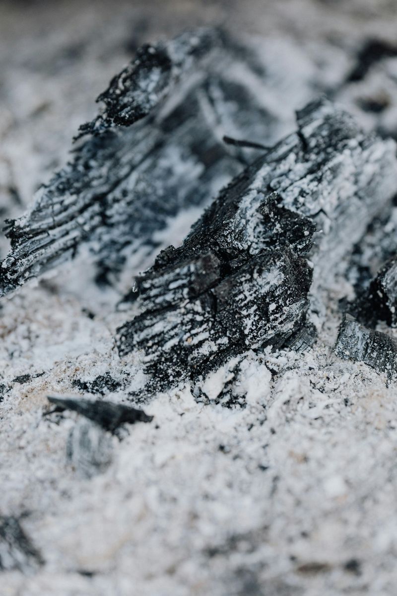 Wood Ash Feels Like a Free Fix But It's Quietly Wrecking Your Soil Chemistry