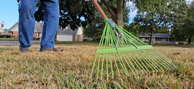 Work The Material Into The Lawn With A Rake Or Broom
