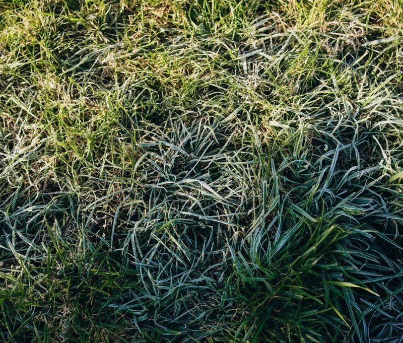 Work When Soil Is Slightly Moist