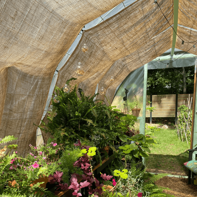 Wrong Shade Percentages Can Reduce Flower And Fruit Production