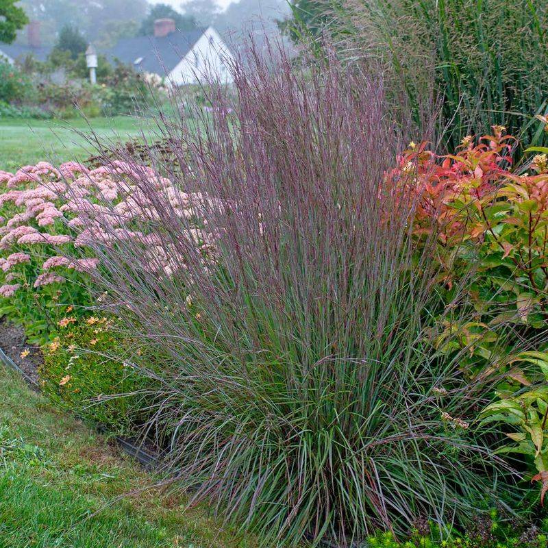 Year-Round Structure That Keeps Your Garden Beautiful Every Season