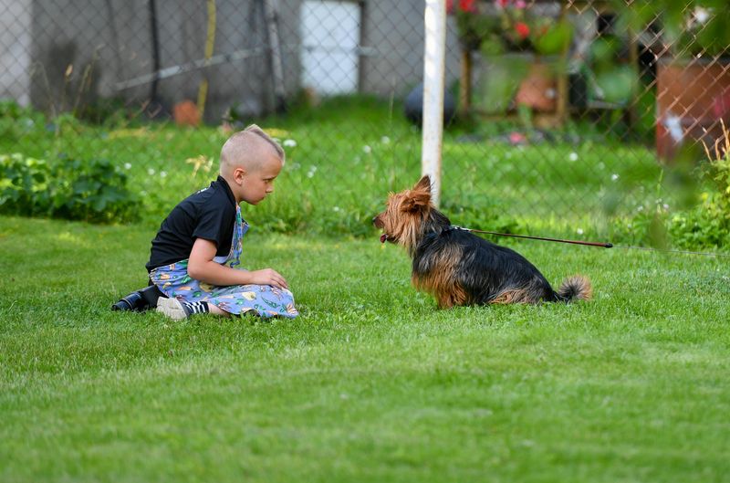 Your Kids (And Pets) Get A Better Backyard