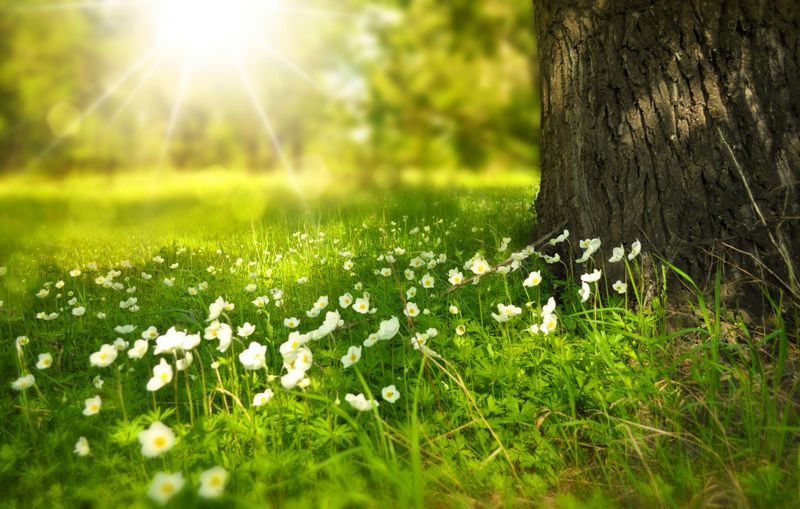 Your Lawn Starts Holding Moisture Better