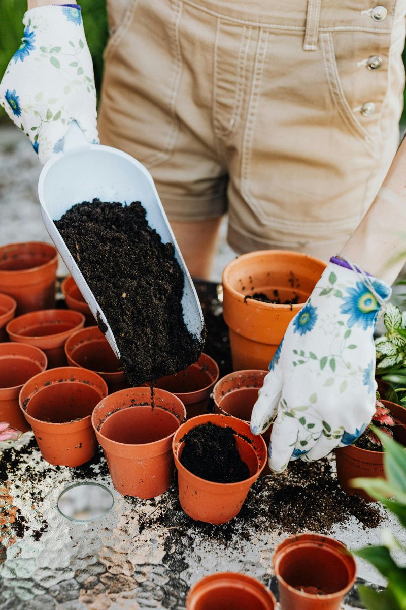 Your Old Potting Soil Still Has Plenty Left To Give