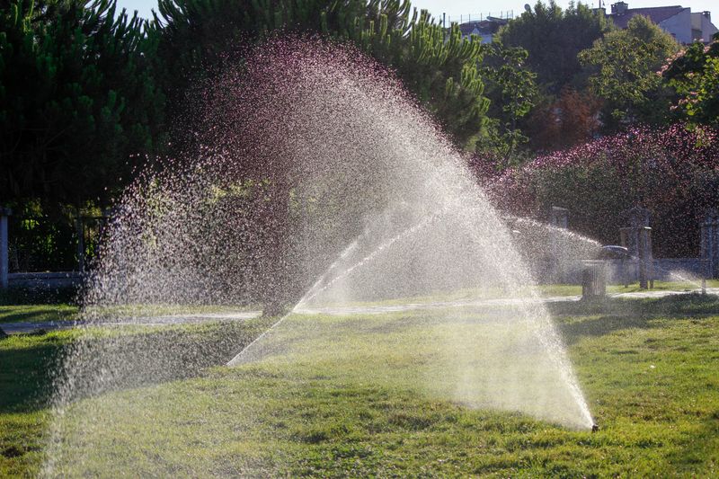 You're Overwatering The Lawn
