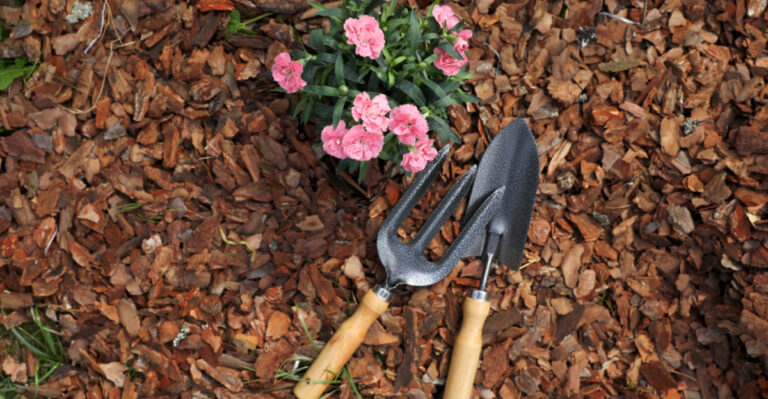 10 Common Mulching Mistakes That Are Costing Virginia Homeowners A Healthy Garden