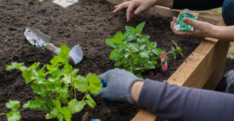 gardening