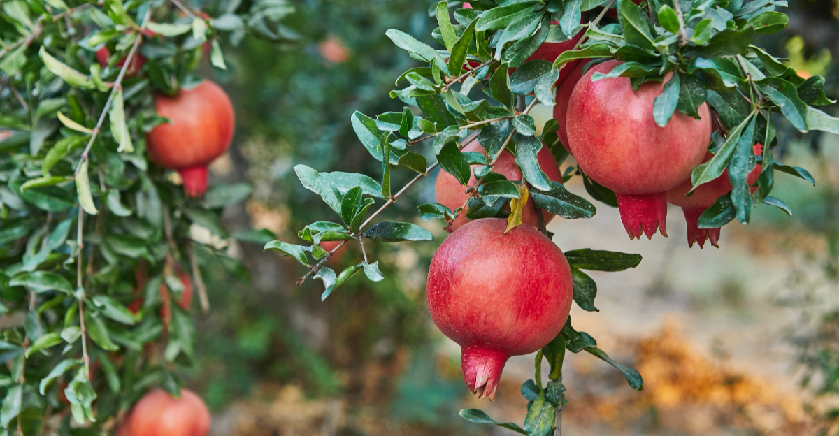 Image Credit: © AlexDonin / Shutterstock