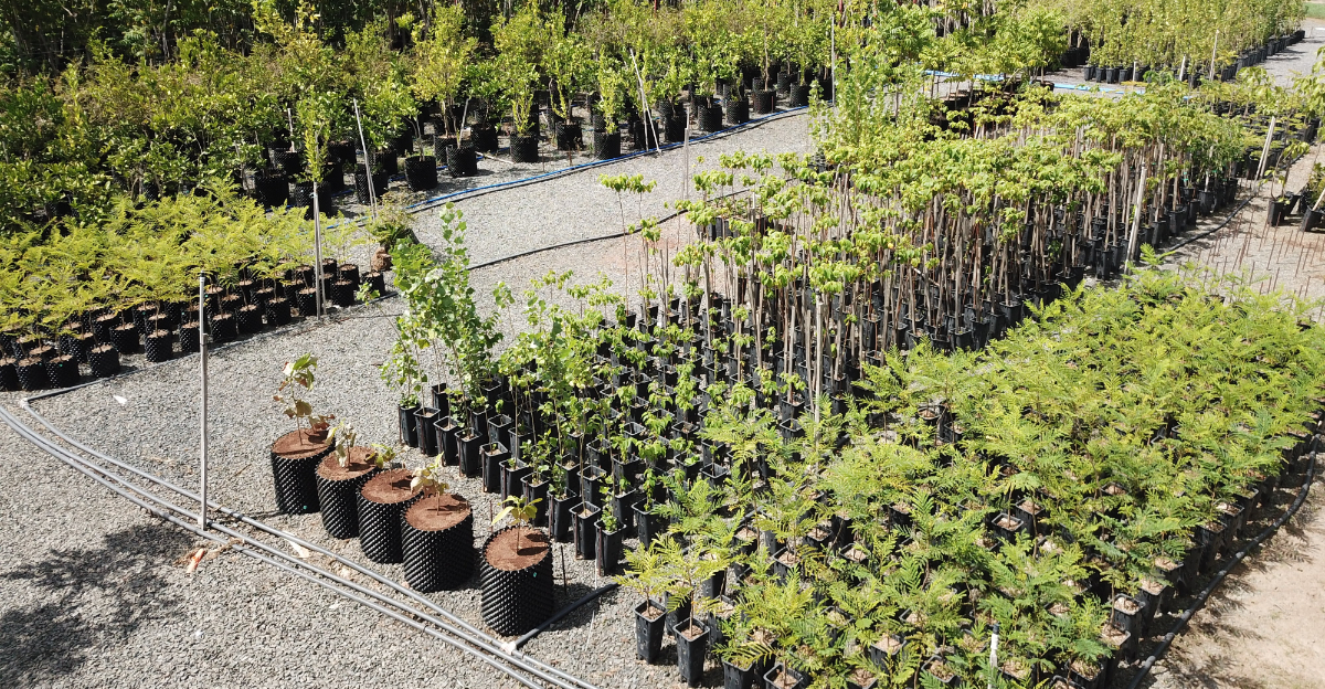 nursery