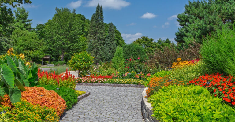 7 Must-Visit Botanical Gardens Across Minnesota This Summer