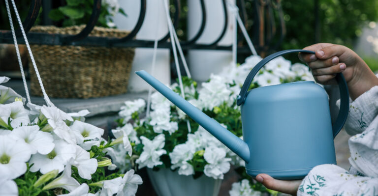 7 Petunia Watering Tips That Actually Keep Blooms Coming In Maryland