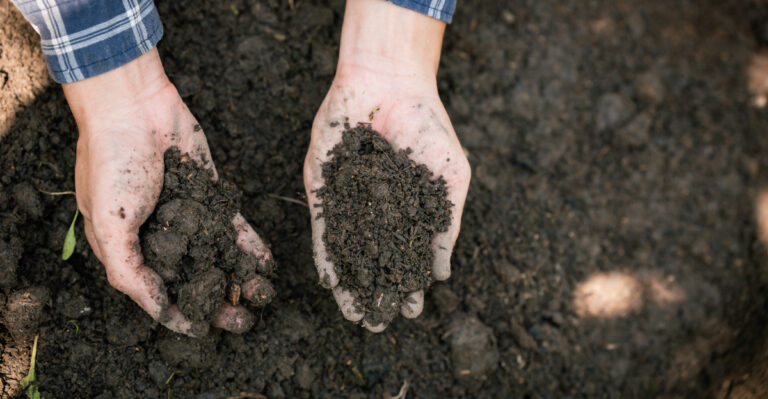 soil