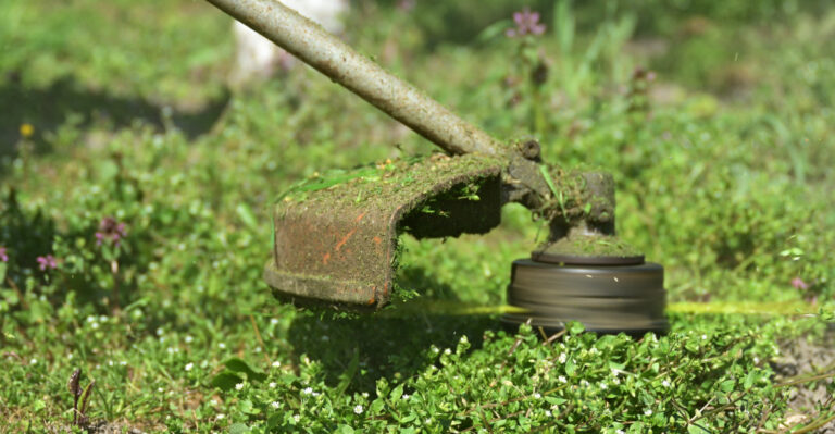 Image Credit: © Bits And Splits / Shutterstock
