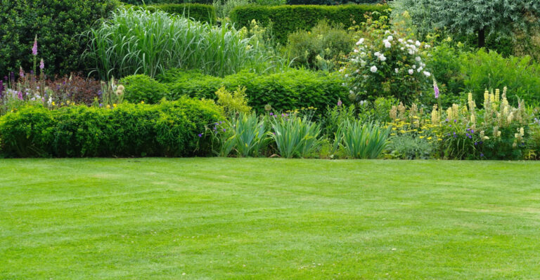 7 Things Idaho Homeowners Should Stop Doing To Their Yards When Temperatures Hit 95 Degrees