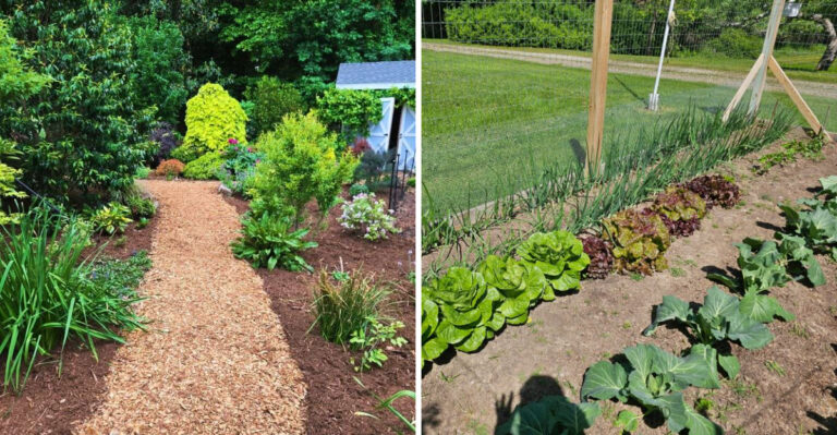 8 Beginner Gardening Tips That Will Make You A Better Grower In Michigan
