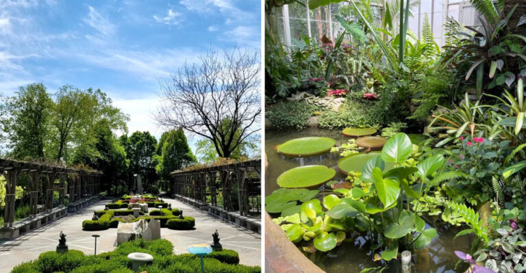 8 Indiana Botanical Gardens Worth Every Step This Summer