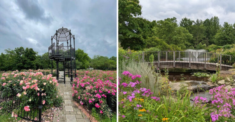 8 Ohio Rose Gardens Worth Planning A Trip Around In Late Spring