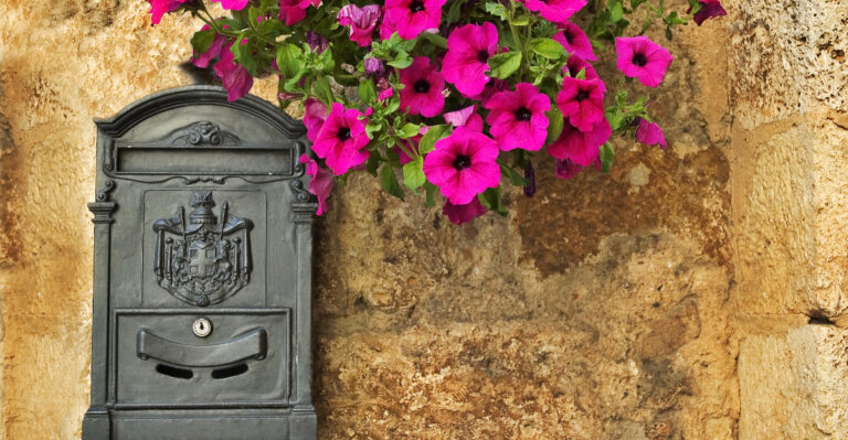 8 Pretty Michigan Mailbox Flower Combos For Instant Curb Appeal