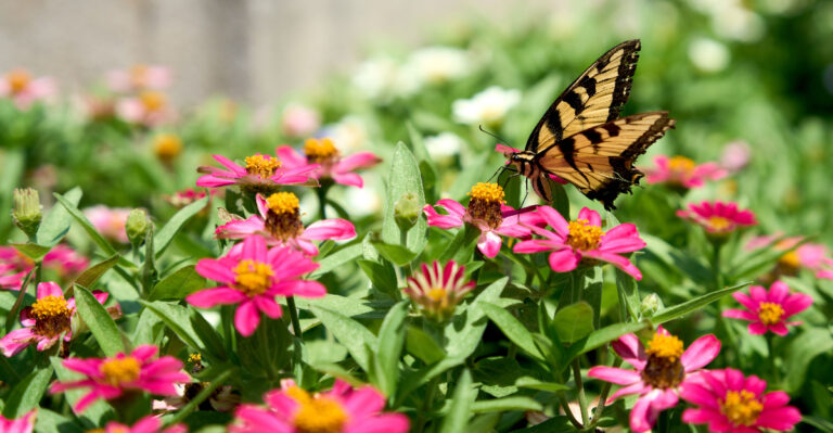 © Image Credit: Wirestock Creators / Shutterstock