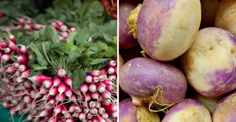 8 Reliable Vegetables Indiana Gardeners Can Direct Sow In July