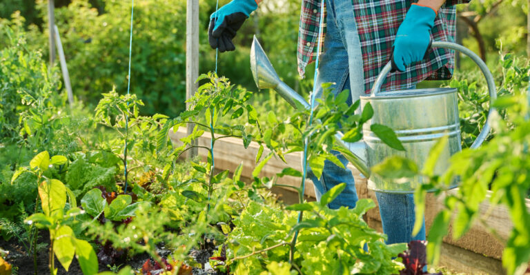 summer gardening