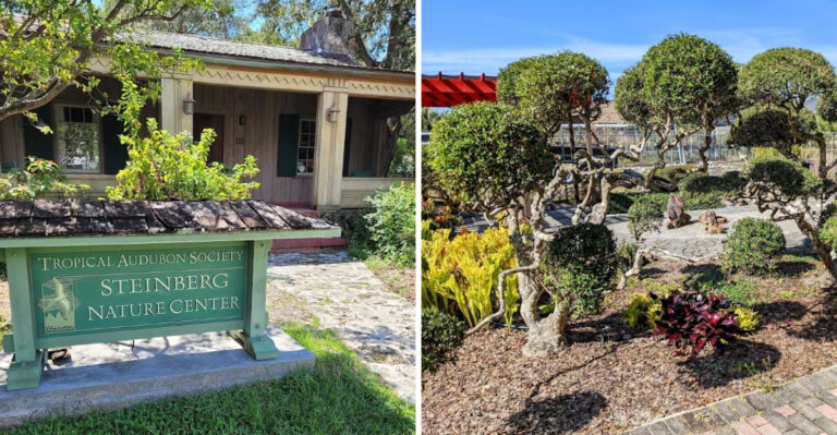 8 Summer Plant Swaps And Garden Markets Florida Gardeners Actually Want To Visit