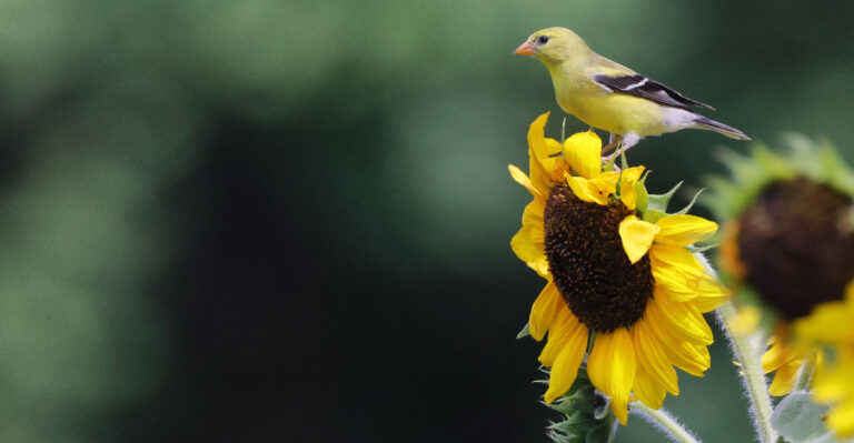 Image Credit: © Wirestock Creators / Shutterstock